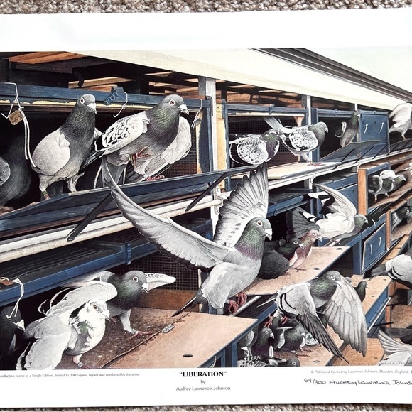 Audrey Lawrence Johnson Liberation Art Print Signed and Numbered by‎ the Artist - Picture 1 of 4